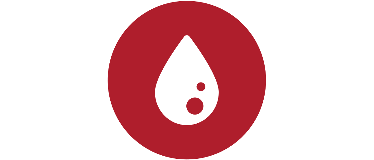 Nagy ikon – vörös vércsepp a Vérgáz elemzési útmutatóból